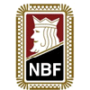 NM for klubblag 2013