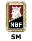 Seriemesterskapet 2011